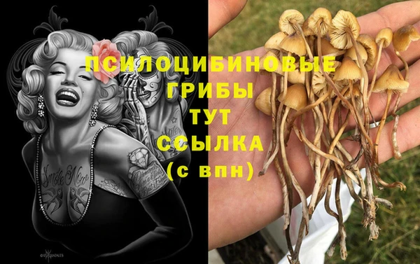 прущая мука Алзамай