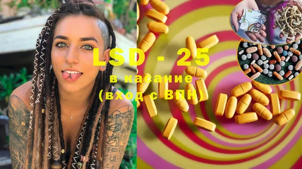 ECSTASY Покачи