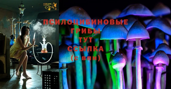прущая мука Алзамай