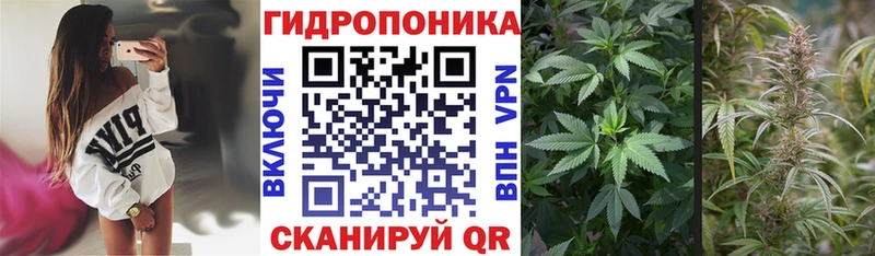 МАРИХУАНА планчик  магазин продажи   Болхов 